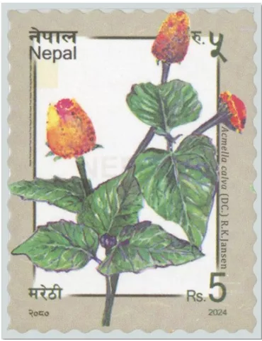 n° 1383 - Timbre NEPAL Poste