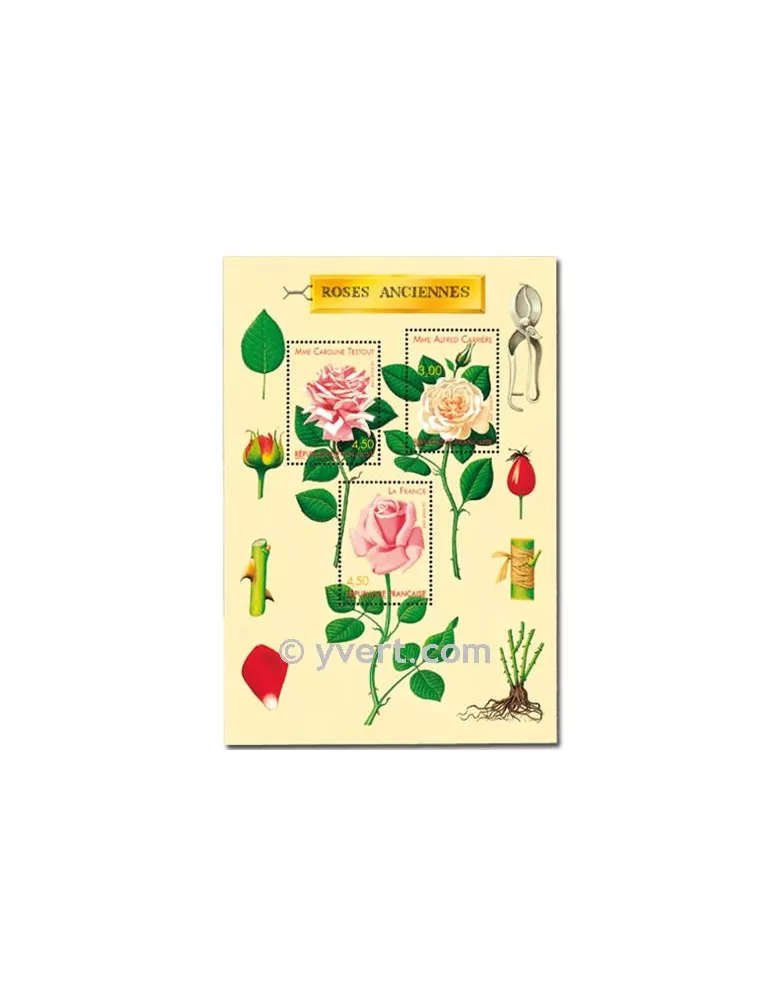 n° 3248/3250 (BF 24) - Timbre France Poste