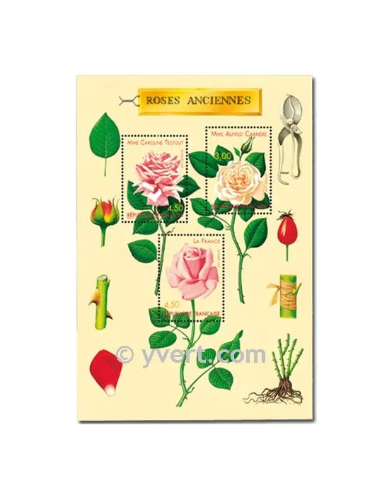 n° 3248/3250 (BF 24) - Timbre France Poste