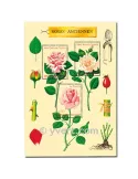 n° 3248/3250 (BF 24) - Timbre France Poste