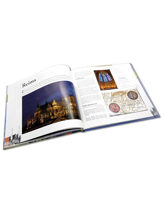 France : Le Livre des Timbres 2011