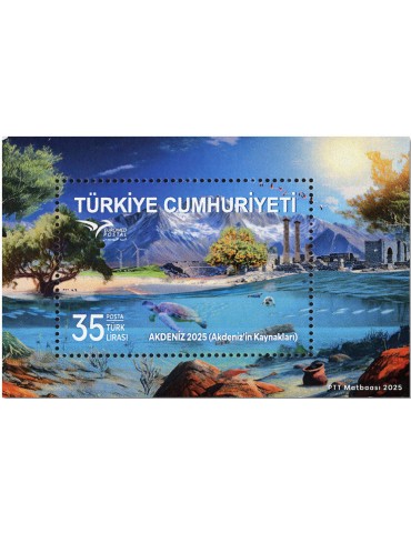 n° 206 - Timbre TURQUIE Blocs et feuillets