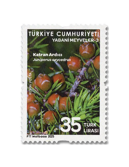 n° 458/462 - Timbre TURQUIE Timbres de service