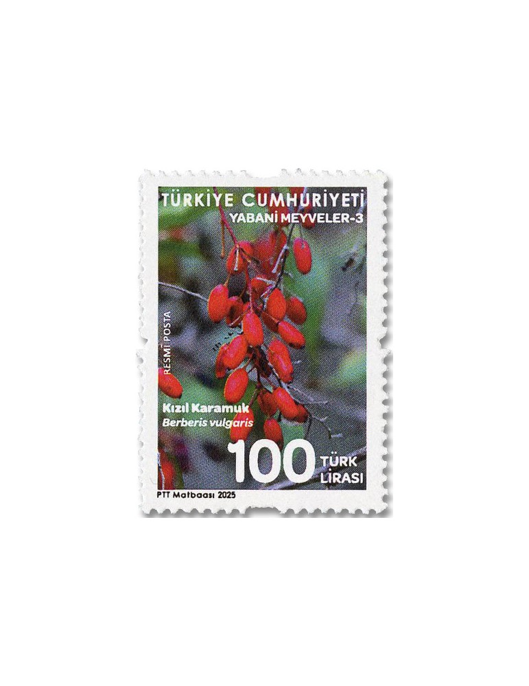 n° 458/462 - Timbre TURQUIE Timbres de service
