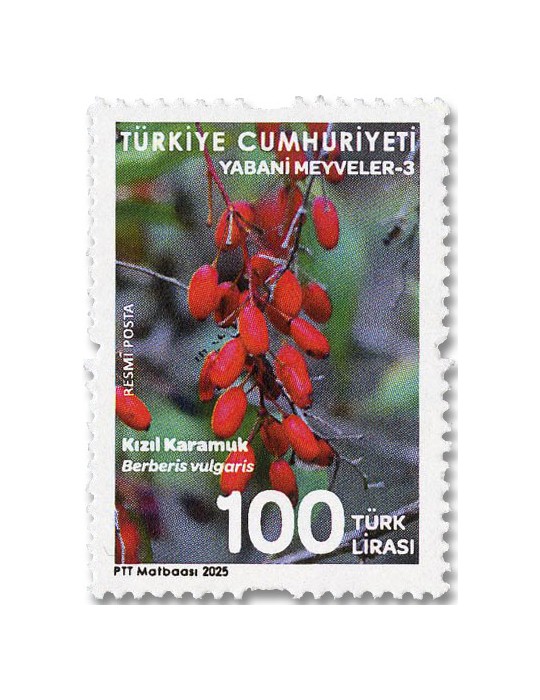n° 458/462 - Timbre TURQUIE Timbres de service