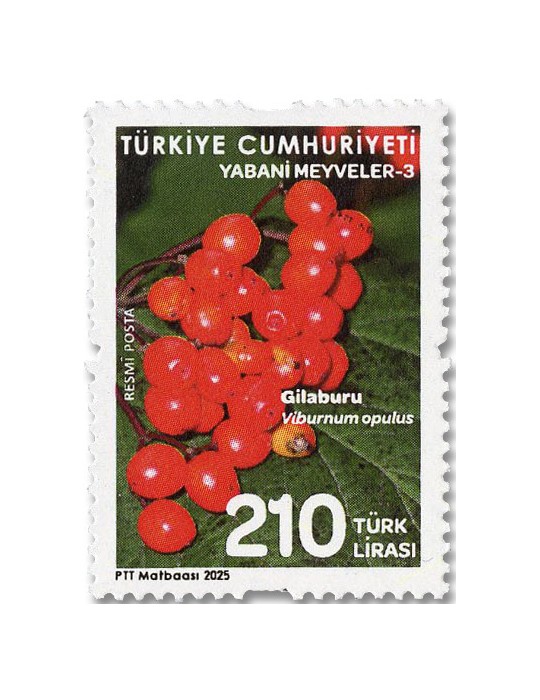 n° 458/462 - Timbre TURQUIE Timbres de service