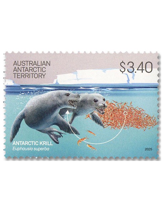 n° 309/312 - Timbre TERRITOIRE ANTARCTIQUE AUSTRALIEN Poste