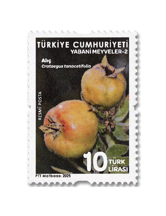 n° 456/457 - Timbre TURQUIE Timbres de service