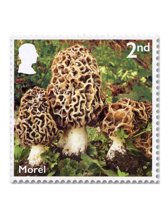 n° 6085/6094 - Timbre GRANDE-BRETAGNE Poste