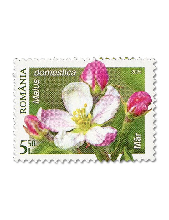 n° 7284/7287 - Timbre ROUMANIE Poste