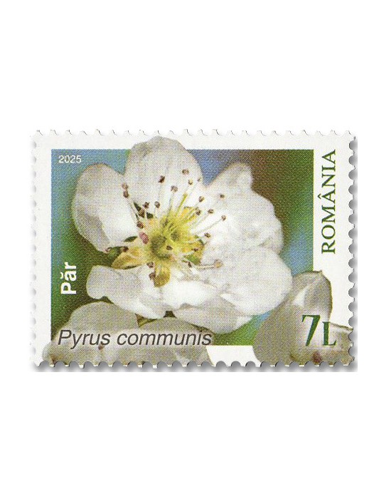 n° 7284/7287 - Timbre ROUMANIE Poste