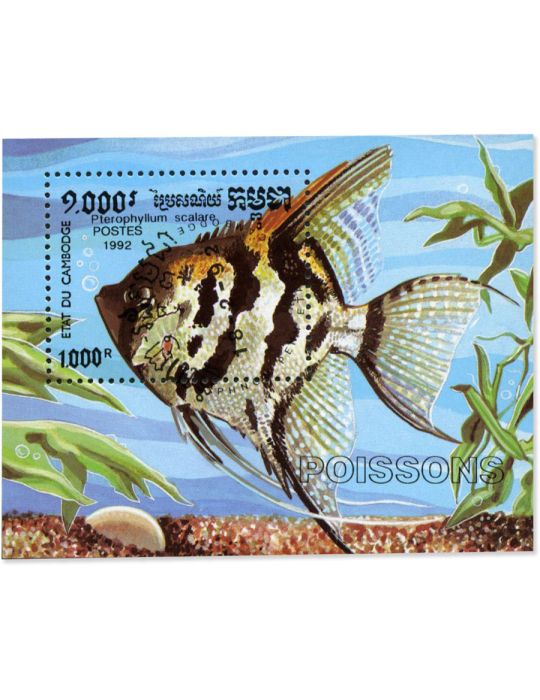 MONDE : Ensemble de 50 blocs obl. (Animaux)