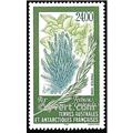 nr. 244 -  Stamp French Southern Territories Mail