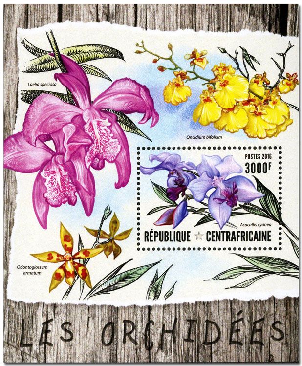 n° 985 : Timbre CENTRAFRICAINE Blocs et feuillets n° 985 : Timbre CENTRAFRICAINE Blocs et feuillets