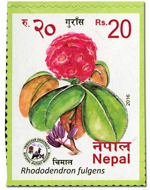 n° 1194/1197 - Timbre NEPAL Poste n° 1194/1197 - Timbre NEPAL Poste