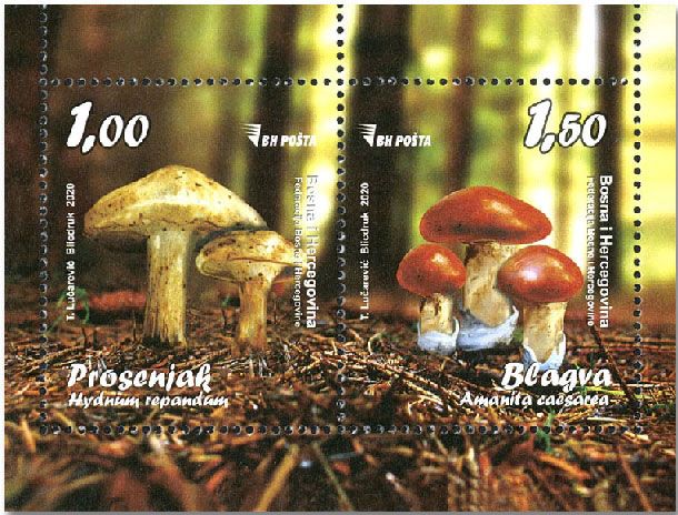 n° 69 - Timbre BOSNIE-HERZEGOVINE Blocs et feuillets n° 69 - Timbre BOSNIE-HERZEGOVINE Blocs et feuillets