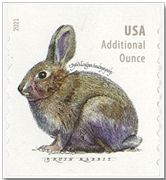 n° 5395a - Timbre ETATS-UNIS D´AMERIQUE Poste