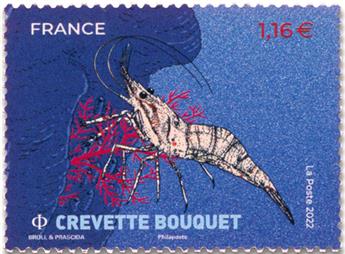 n° 5556 - Timbre FRANCE Poste