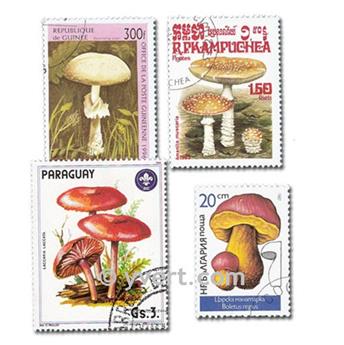 CHAMPIGNONS : pochette de 50 timbres (Oblitérés)