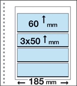 Recharges CK19 : 1 bandes (60x185mm) et 3 bandes (50x185mm) - MARINI®