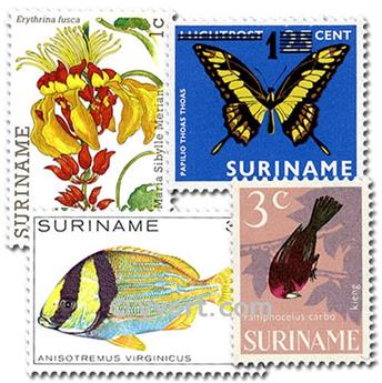 SURINAM : pochette de 50 timbres (Oblitérés)
