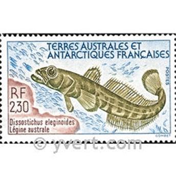 n.o 166 -  Sello Tierras Australes y Antárticas Francesas Correos